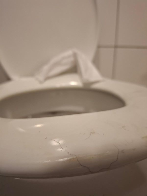 Möchte man sich wirklich auf solch eine Klobrille setzten?