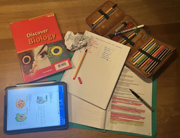 Erledigen der Hausaufgaben