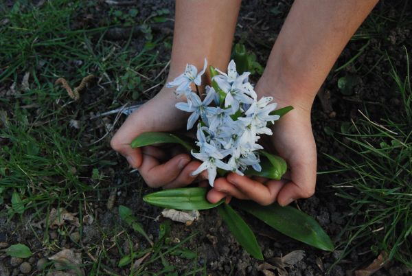 Eine Kegelblume wächst aus Elifs Händen.