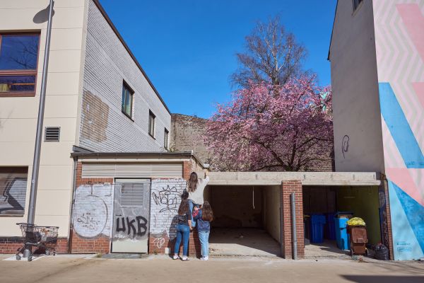 Blüten über Beton