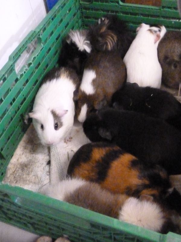 Erstmal einen Überblick verschaffen.