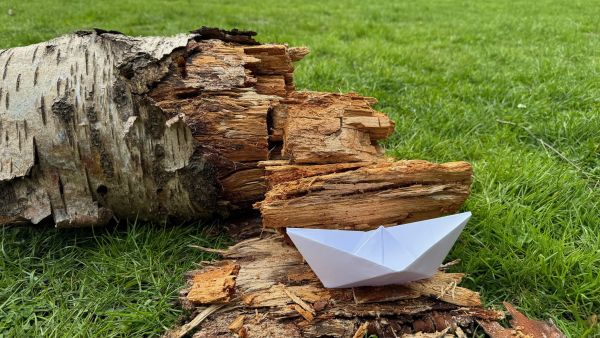 Vergänglichkeit und neues Leben