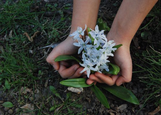Eine Kegelblume wächst aus Elifs Händen.
